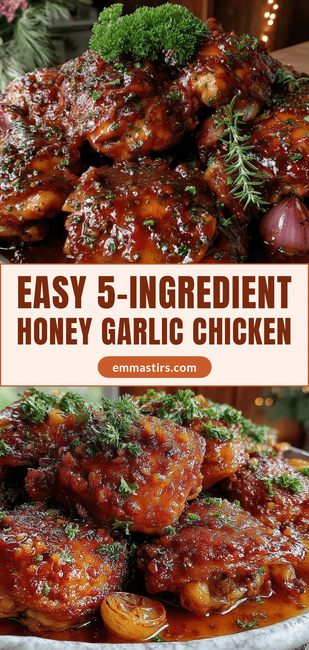 slow cooker honey garlic chicken recipe