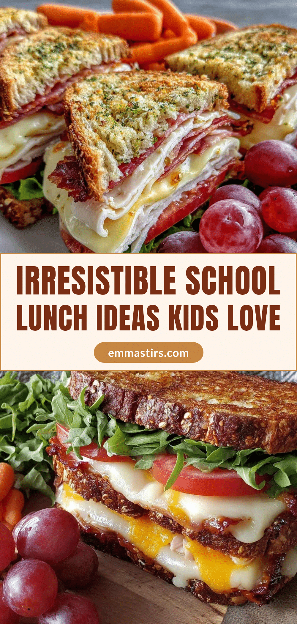 wholesome school lunch ideas recipe