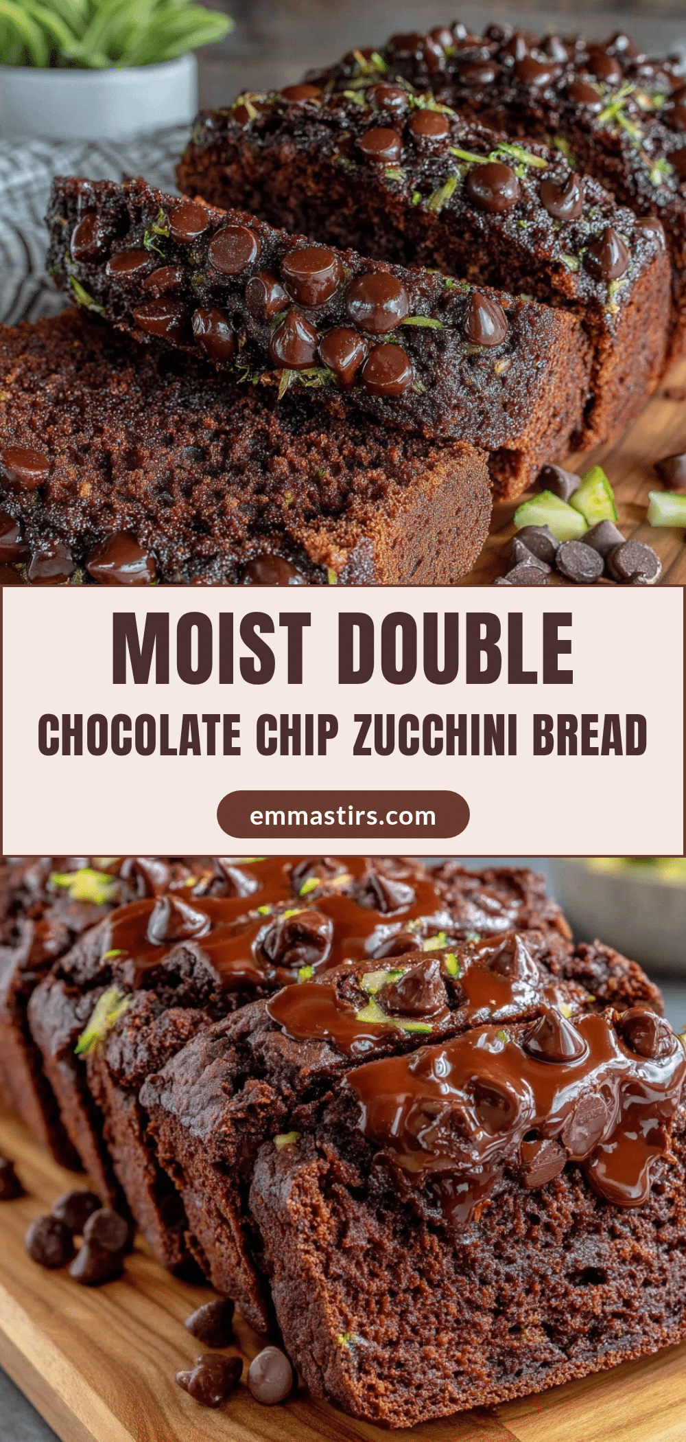 moist double chocolate chip zucchini bread recipe