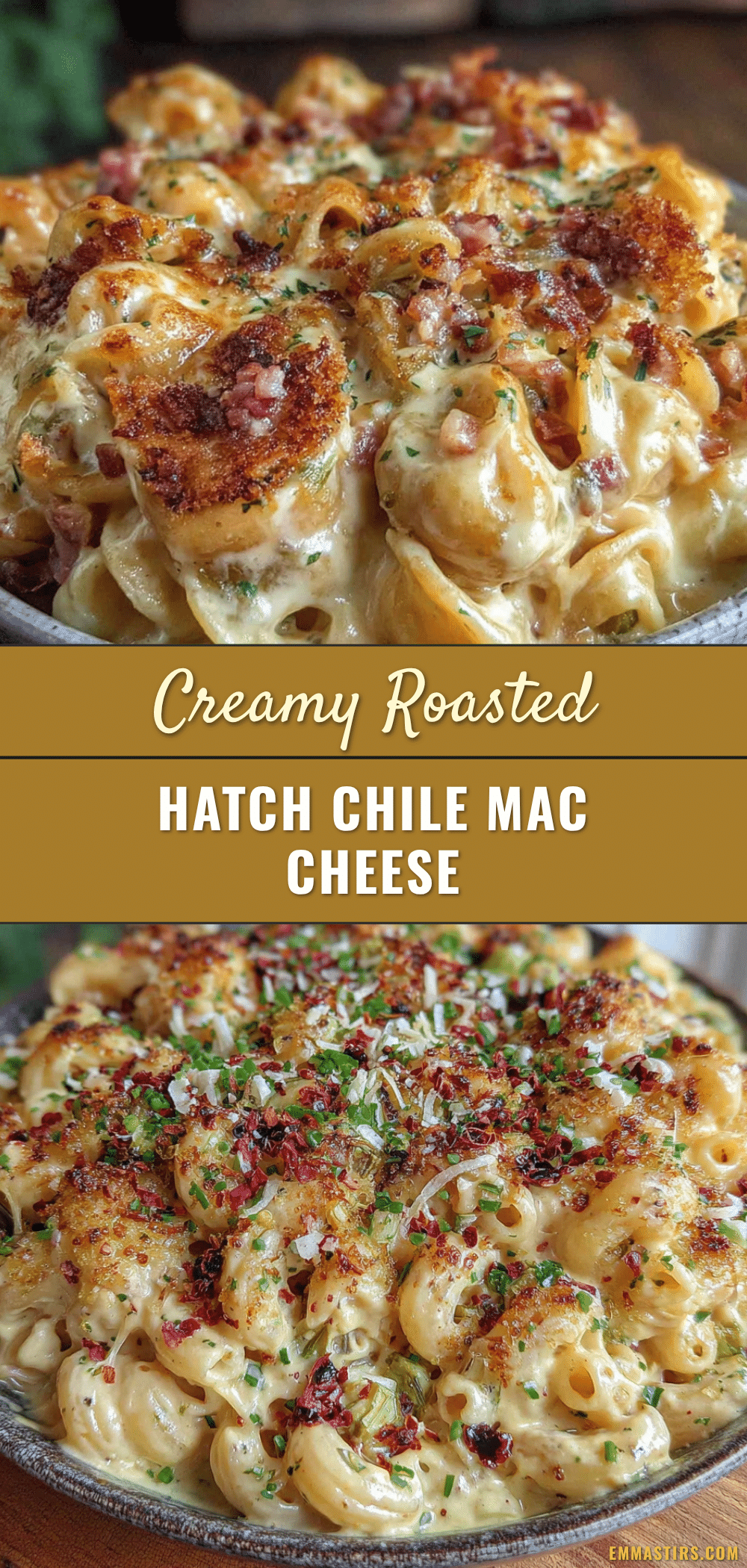 creamy roasted hatch green chile mac and cheese recipe