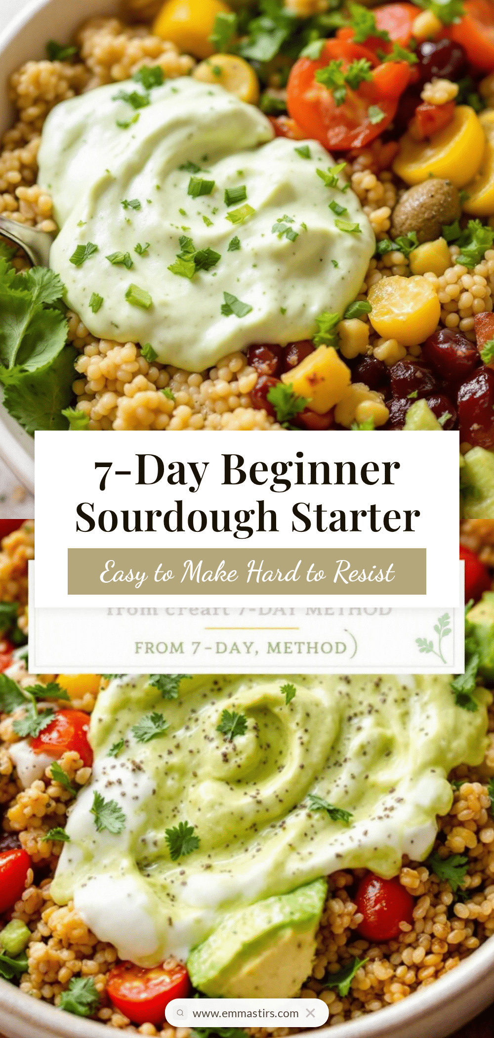 beginner sourdough starter recipe