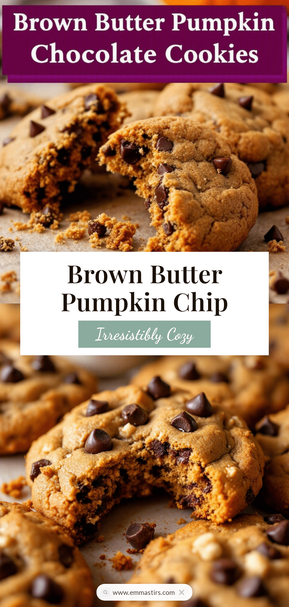 brown butter pumpkin chocolate chip cookies recipe