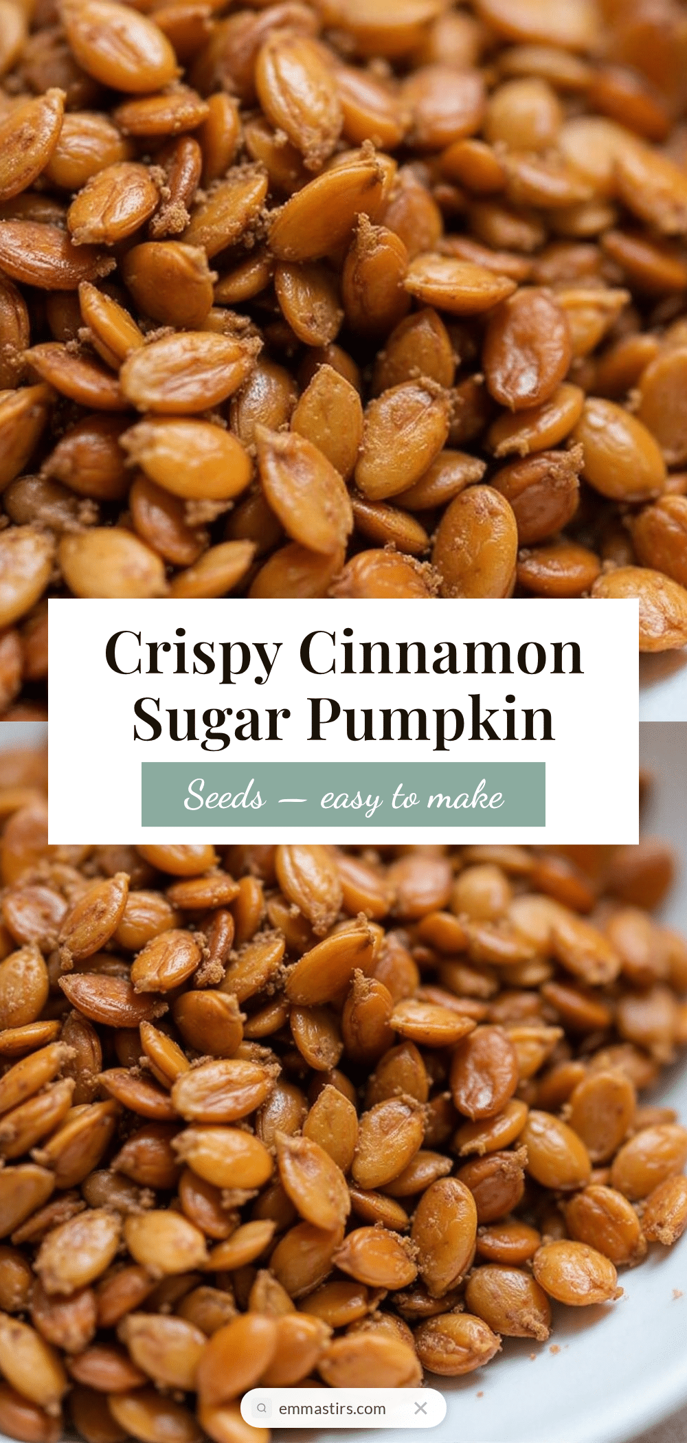 cinnamon sugar roasted pumpkin seeds recipe