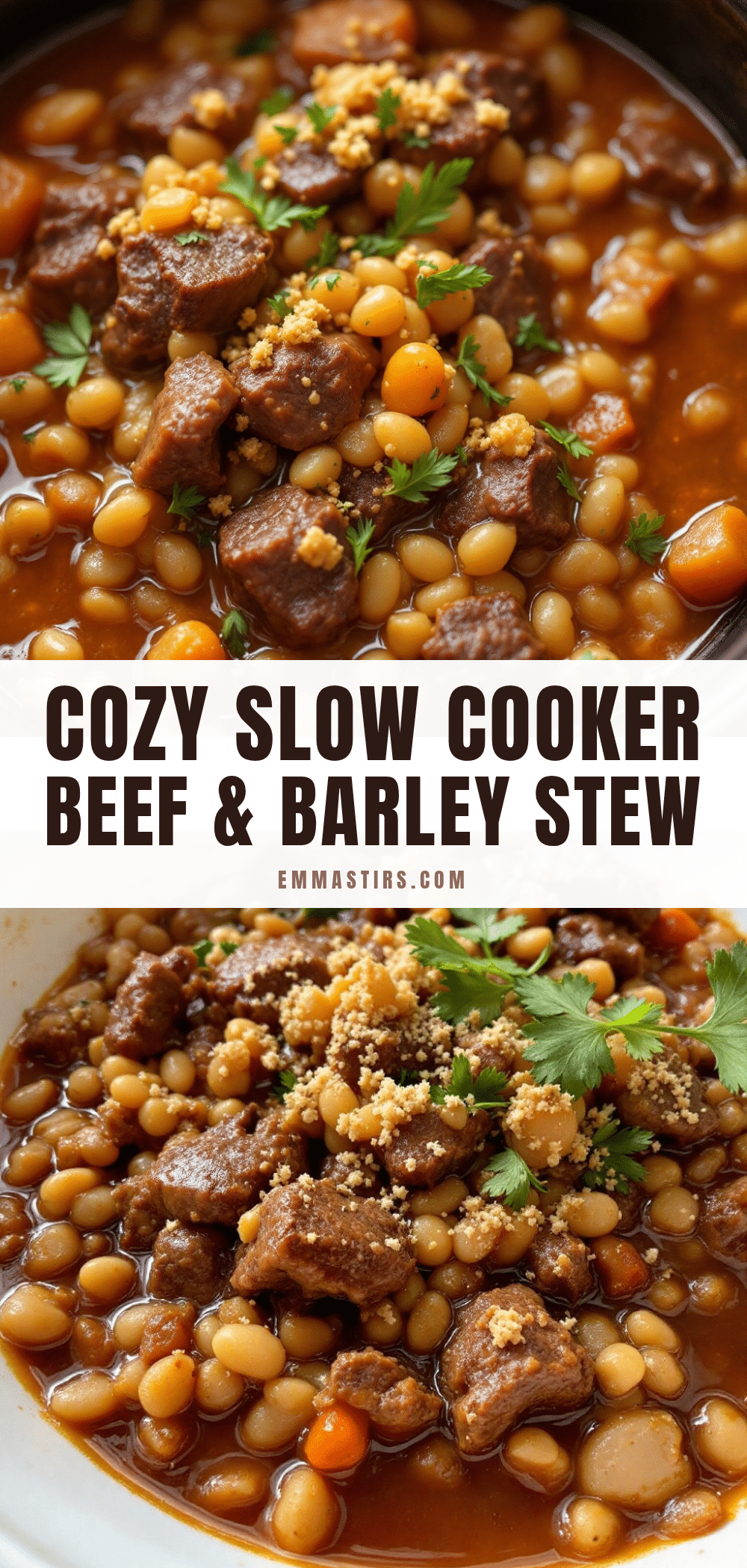 cozy slow cooker beef and barley stew recipe