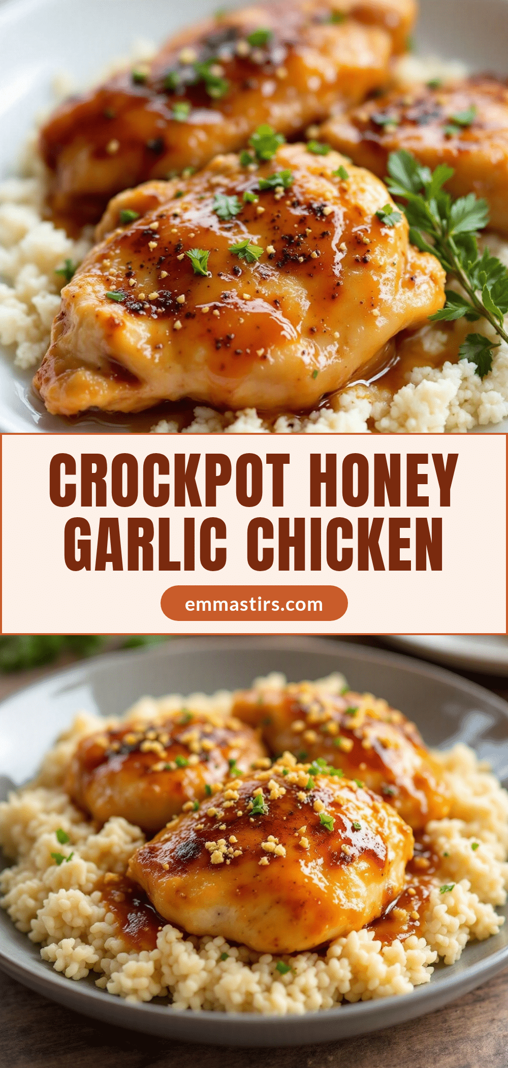 crockpot honey garlic chicken thighs recipe