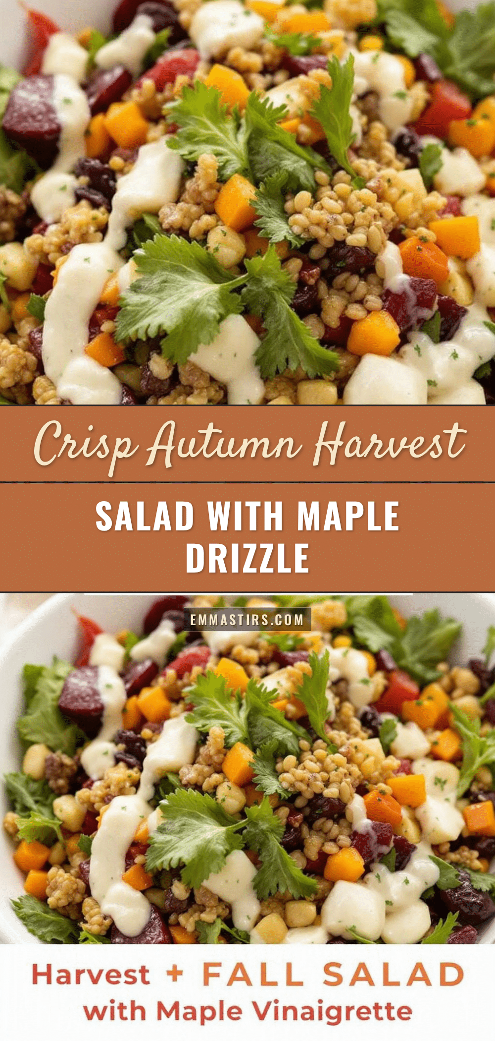 fall harvest salad with maple vinaigrette recipe