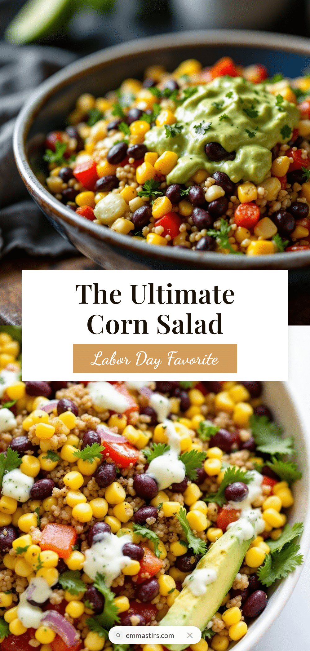 grilled corn and black bean salad recipe