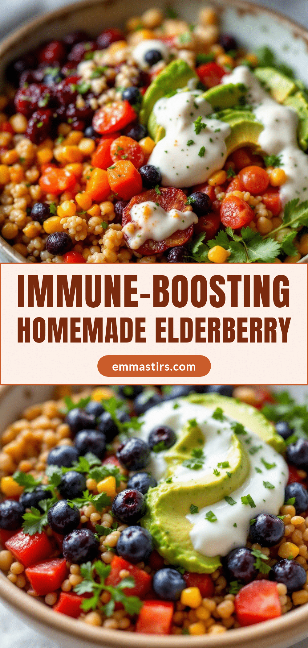 homemade elderberry syrup for cold season recipe