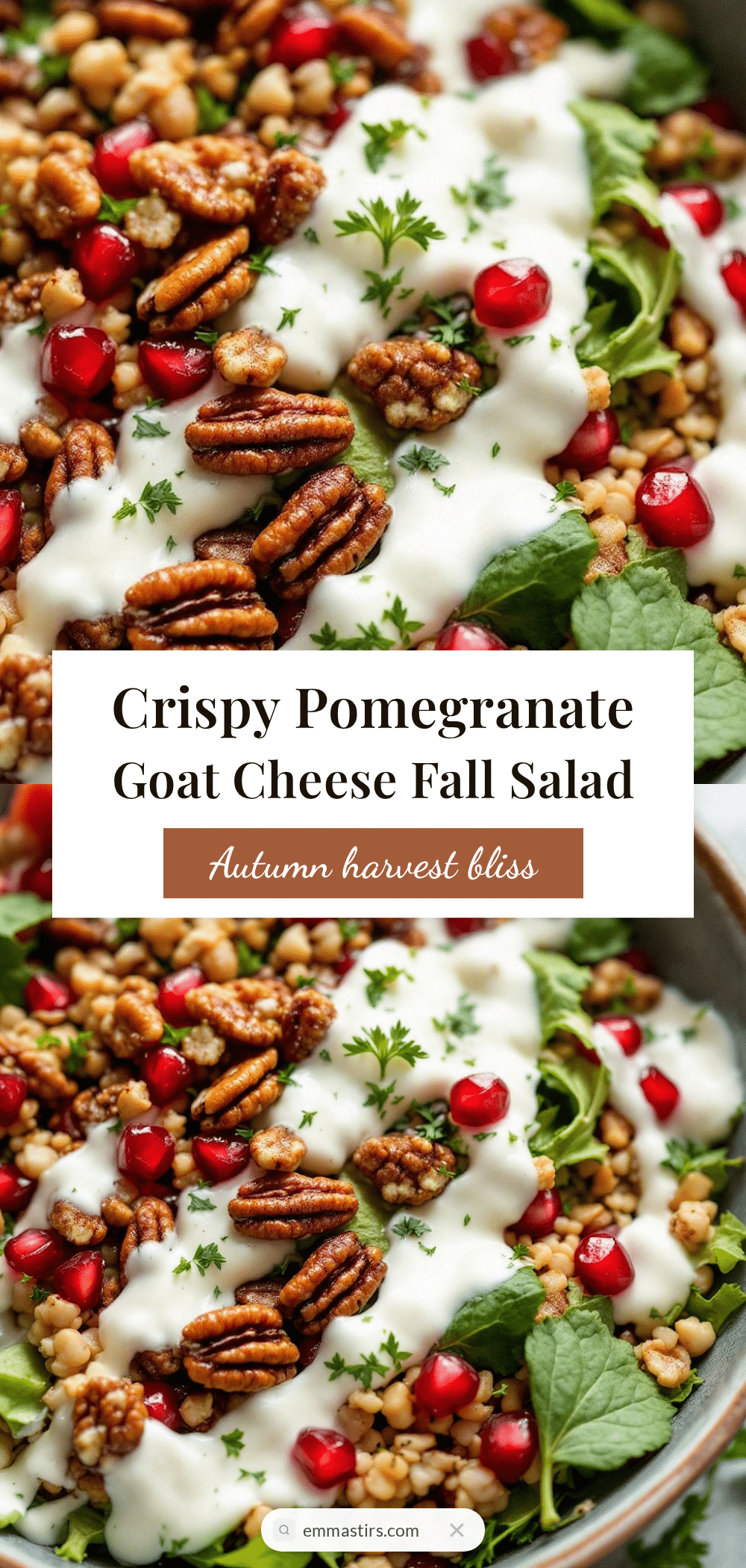 pomegranate goat cheese fall salad recipe