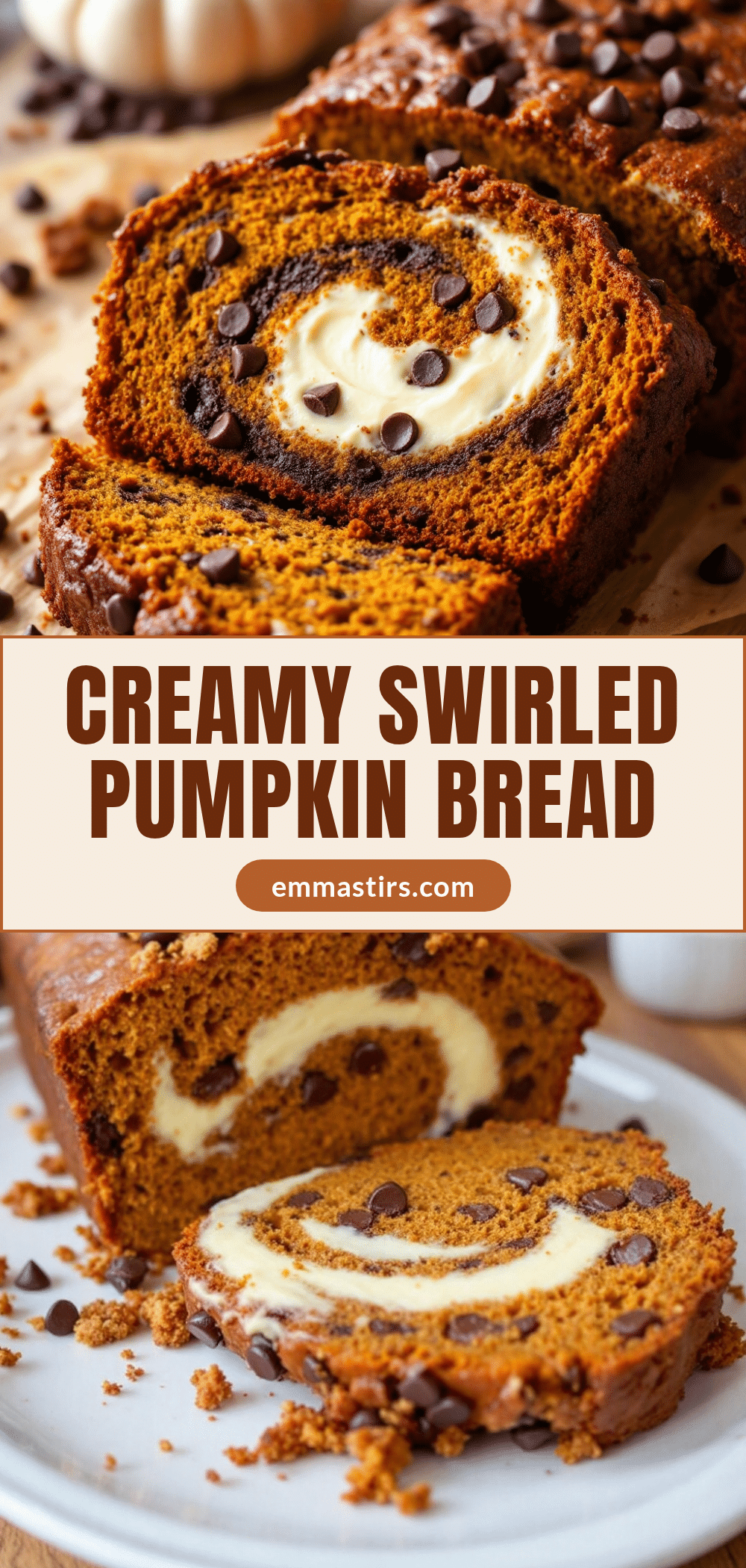 pumpkin chocolate chip bread recipe