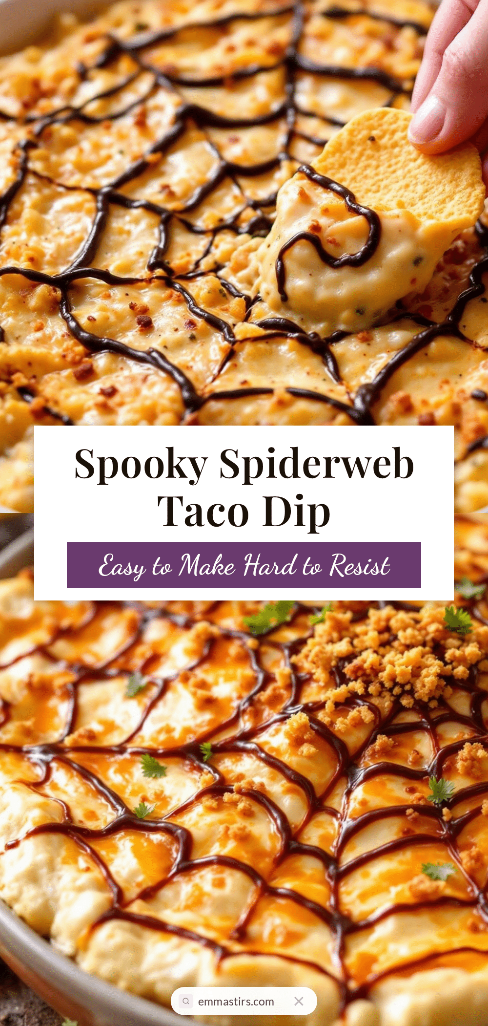 spiderweb taco dip recipe