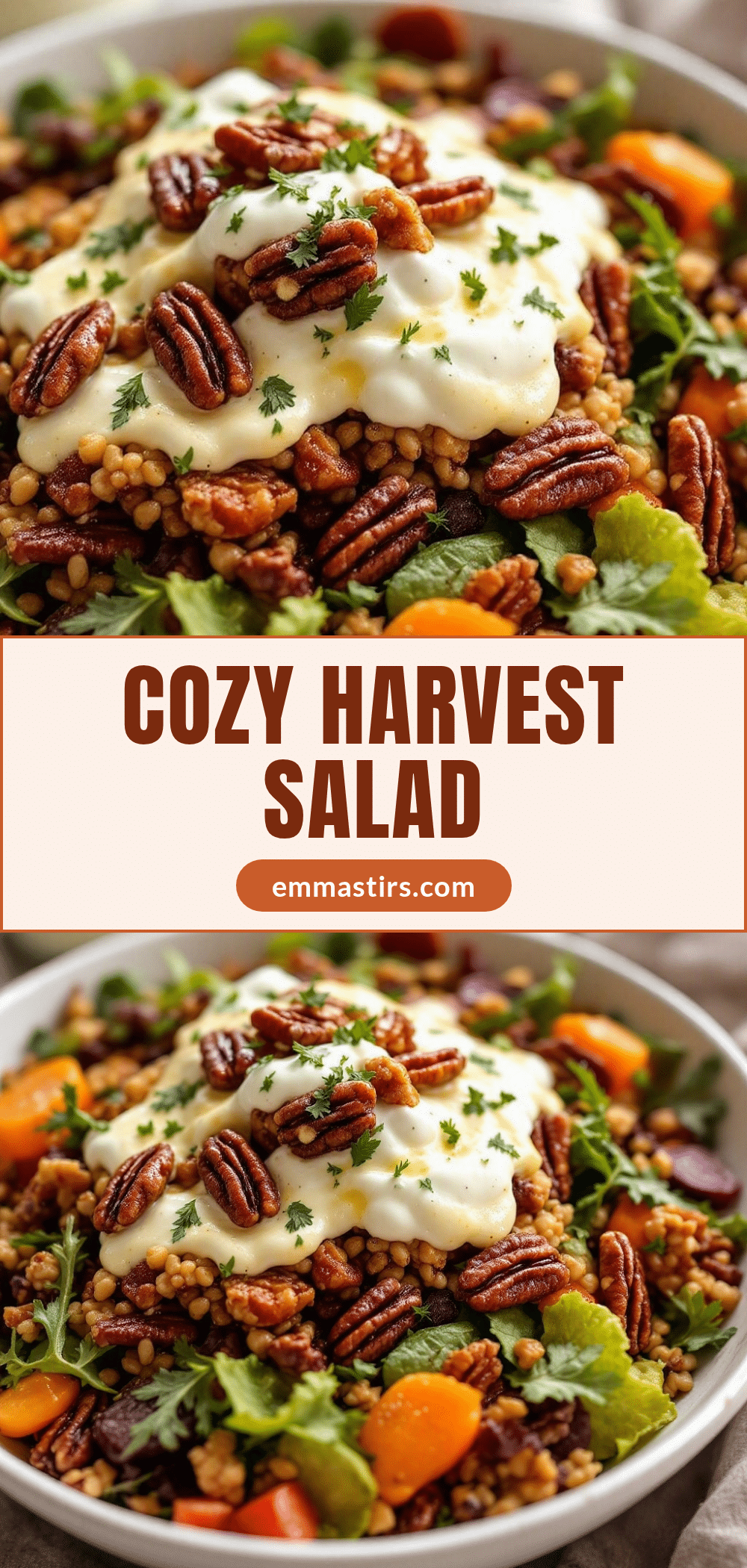 cozy harvest fall salad recipe